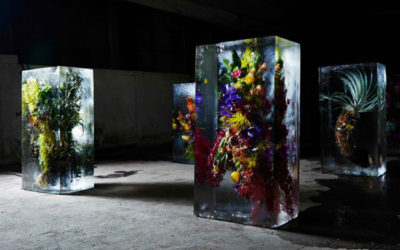 ART / frozen flowers by by AZUMA MAKOTO