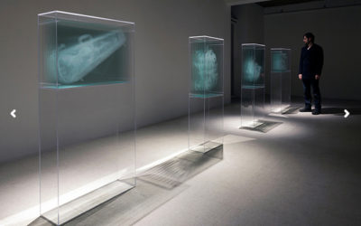 ART / x-ray visions by DAVID SPRIGGS