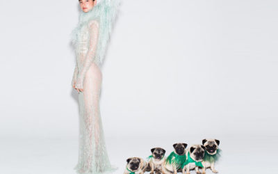 NOSEY / PUGS + COUTURE